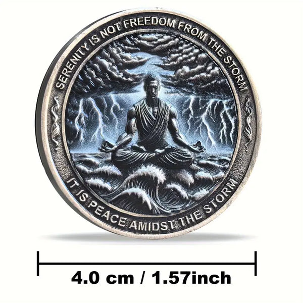 Serenity AA Coin Medallion Peace Within The Storm Sobriety Chip For AA Recovery And Motivation