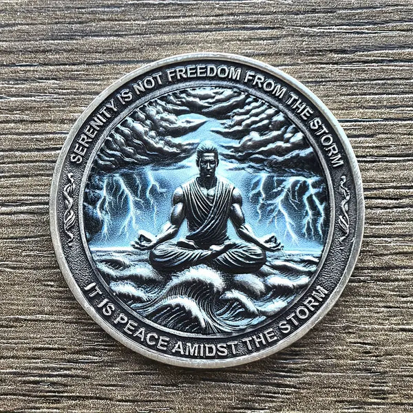 Serenity AA Coin Medallion Peace Within The Storm Sobriety Chip For AA Recovery And Motivation