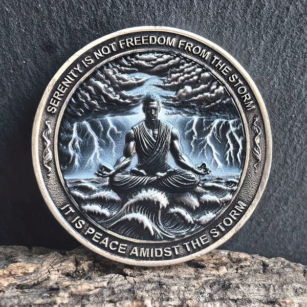 Serenity AA Coin Medallion Peace Within The Storm Sobriety Chip For AA Recovery And Motivation