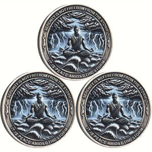 Serenity AA Coin Medallion Peace Within The Storm Sobriety Chip For AA Recovery And Motivation