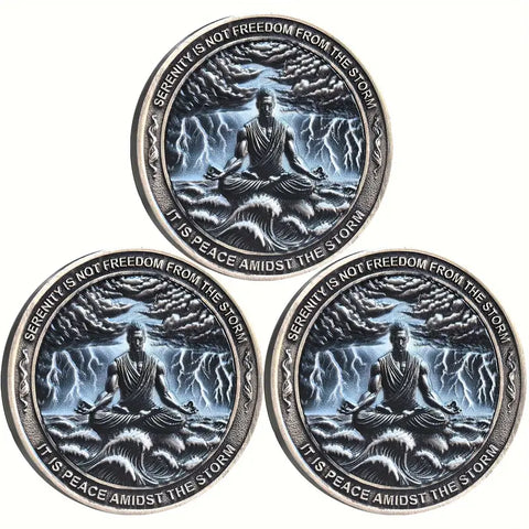 Serenity AA Coin Medallion Peace Within The Storm Sobriety Chip For AA Recovery And Motivation