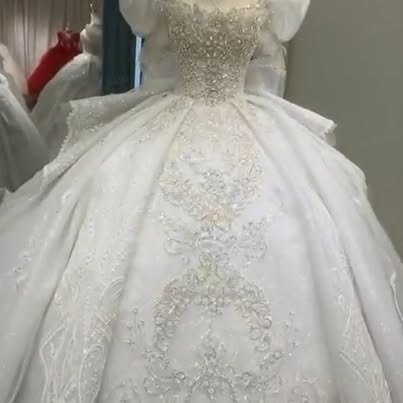 NWT Luxurious Beaded Ball Gown with Puffy Sleeves Wedding Dress