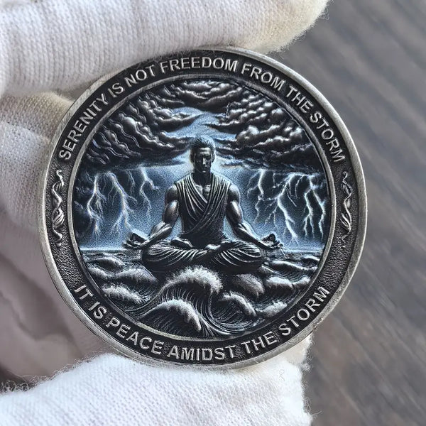 Serenity AA Coin Medallion Peace Within The Storm Sobriety Chip For AA Recovery And Motivation